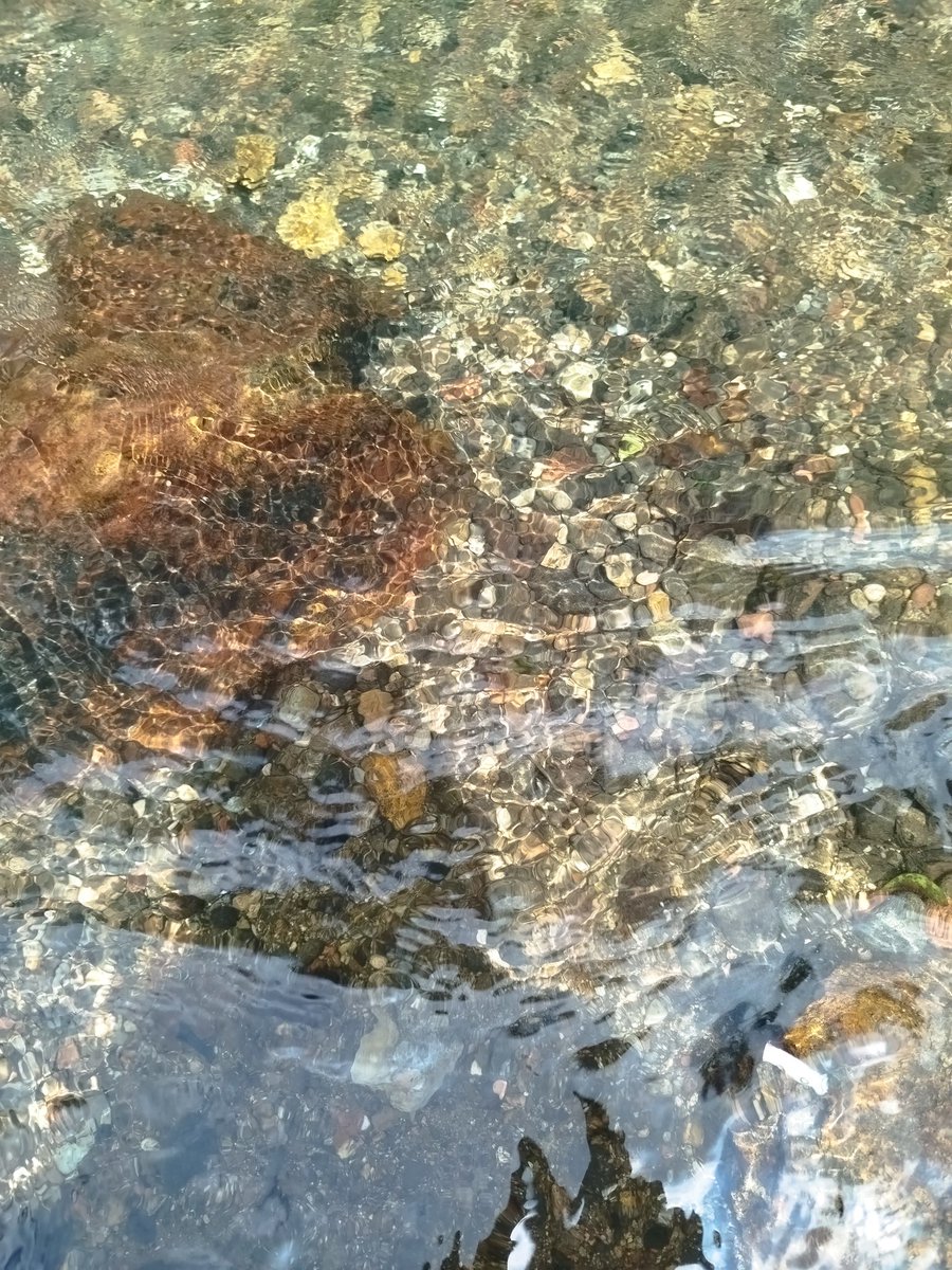 awl🫧✨ tweet media