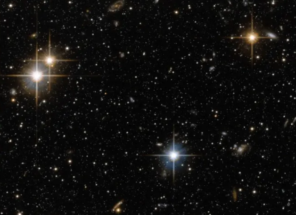 321Gang, LLC tweet media