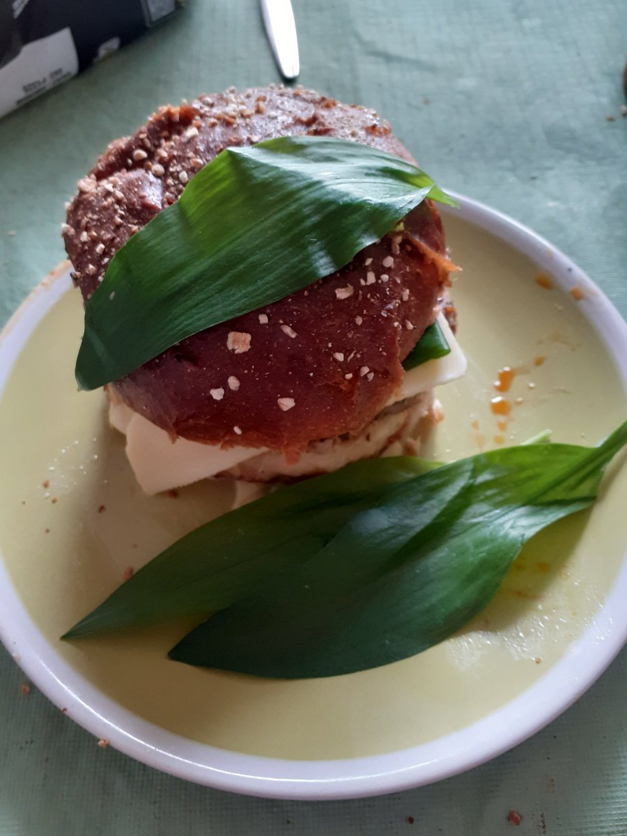 Eulenwald Legenden tweet media