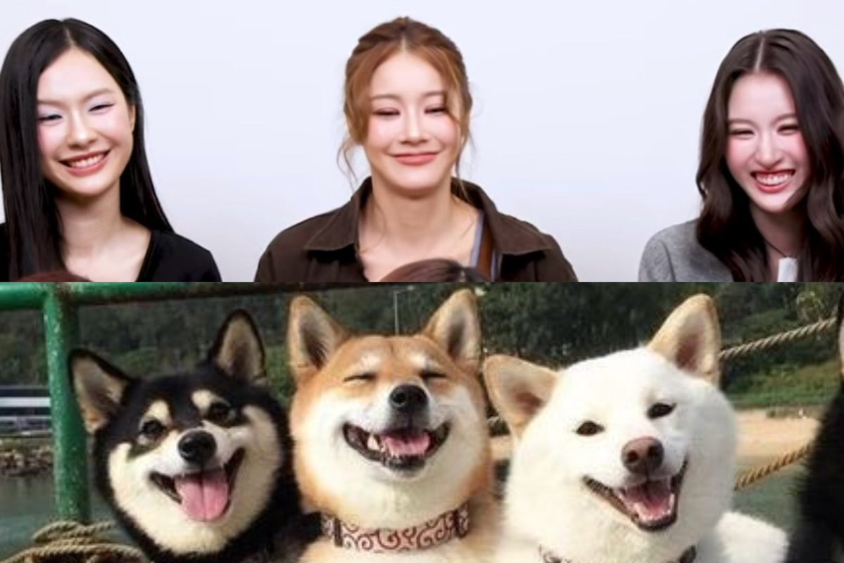 fimmeow รุ่งเรืองสุข (bambi’s mom) tweet media