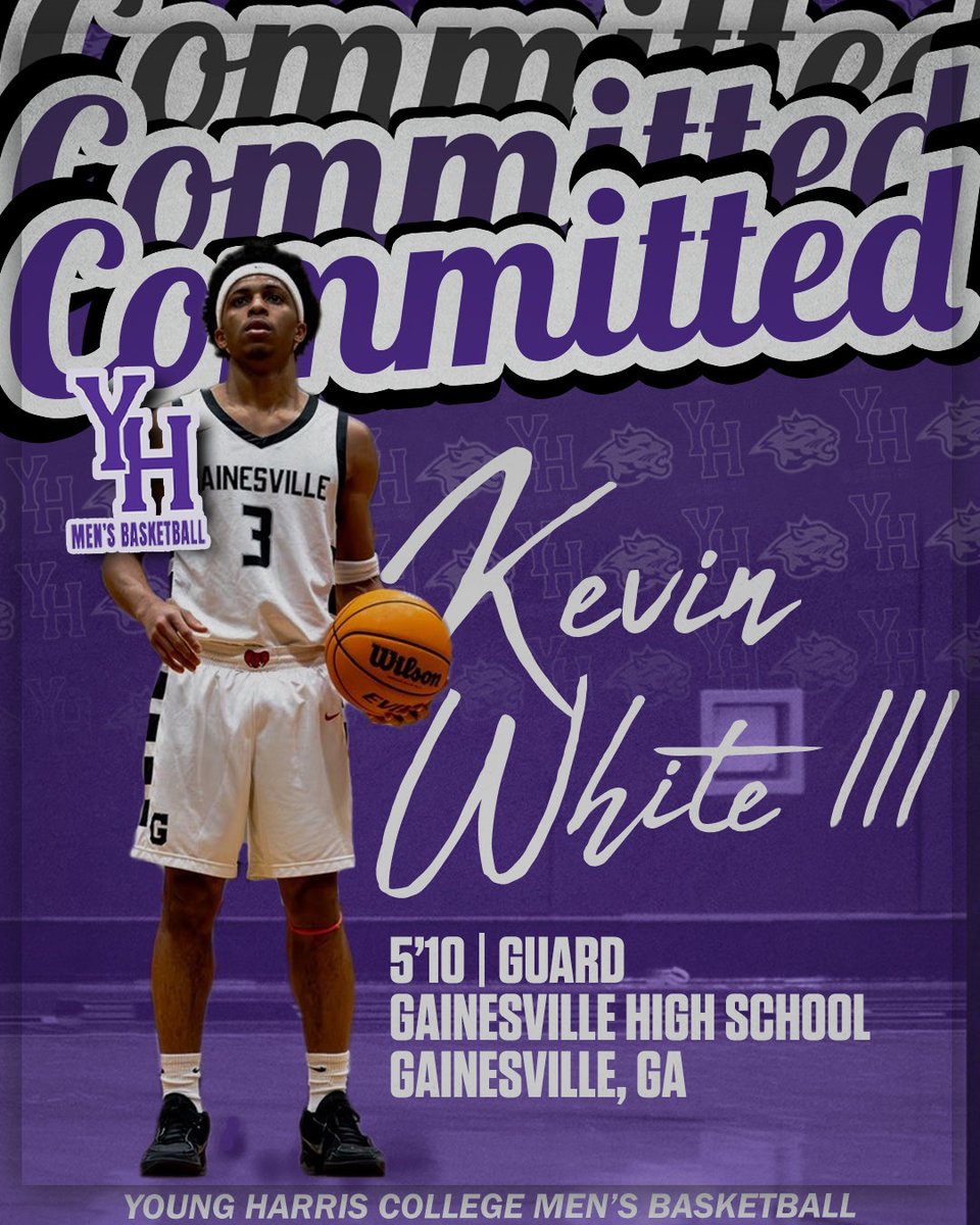 Young Harris Basketball tweet media