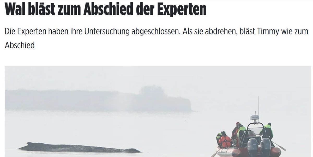 Linda Grünberg tweet media