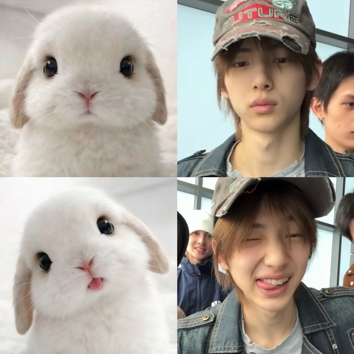 𝐛𝐚𝐦𝐛𝐢 tweet media