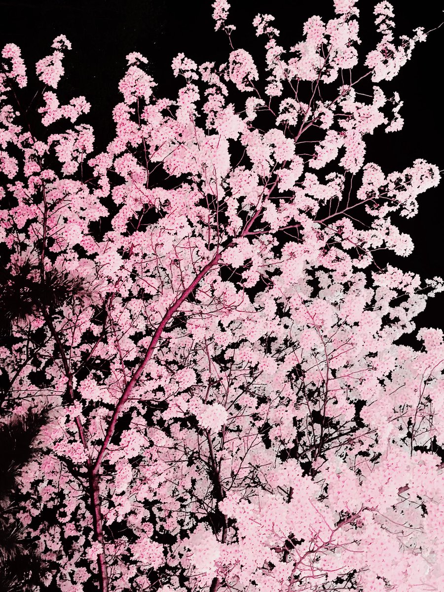 서진욱 tweet media