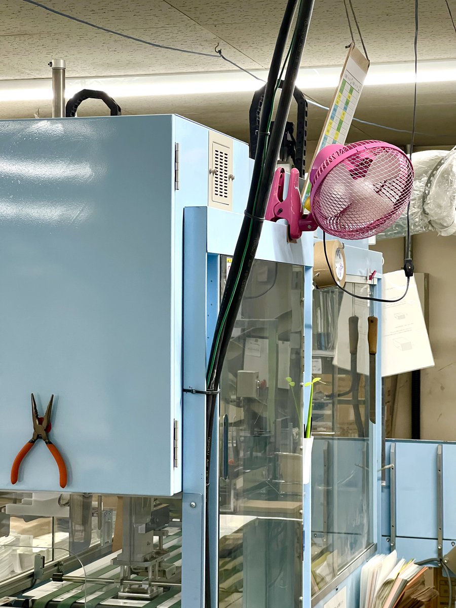 カジタシノブ tweet media