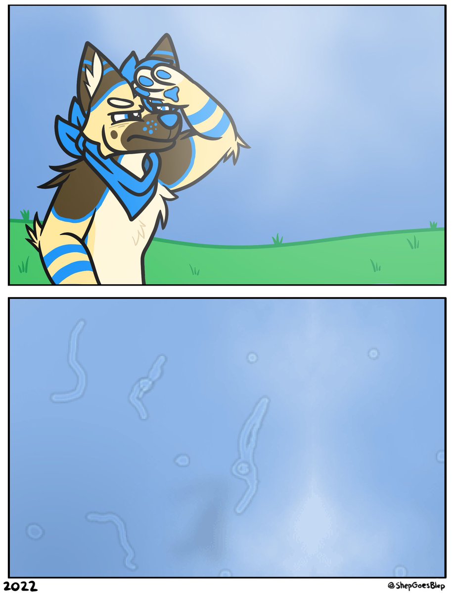 Shep🖌🐾 🔜 Furcationland 2026 tweet media