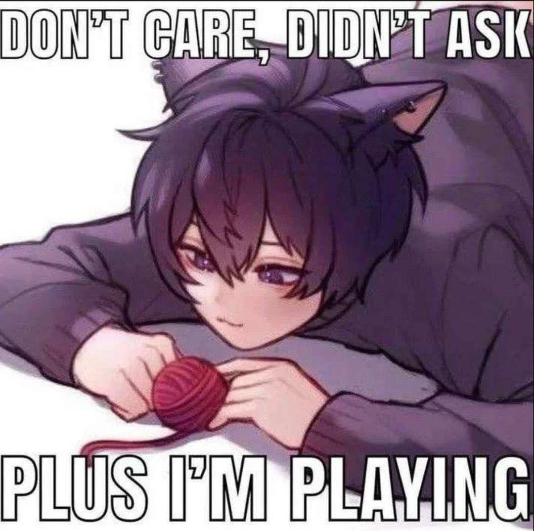 zedsamcat🏳️‍🌈✡️ tweet media