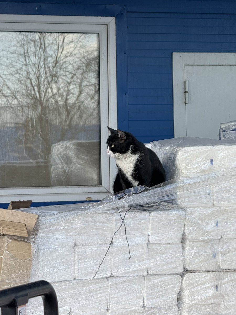 лера tweet media