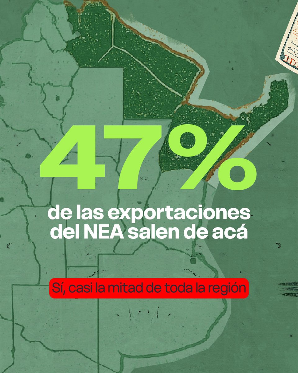 Gobierno de Misiones tweet media