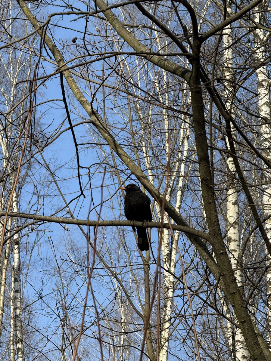 лера tweet media