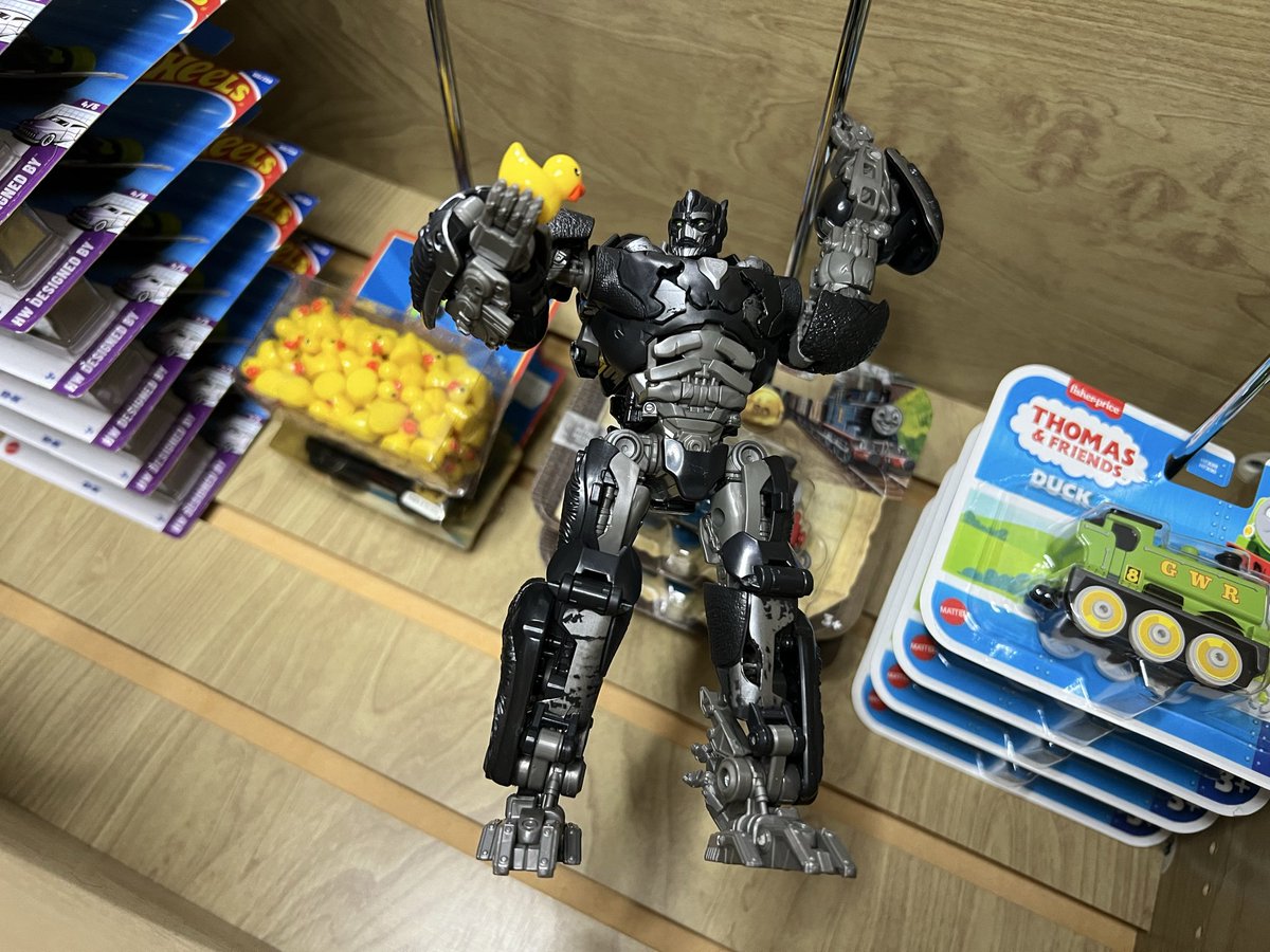 FlyingDuckNWR8 tweet media