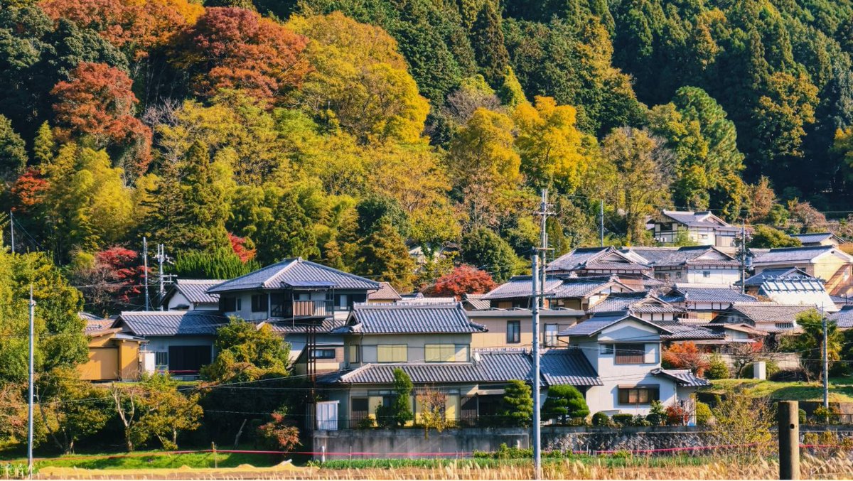 23:58:35 tweet media