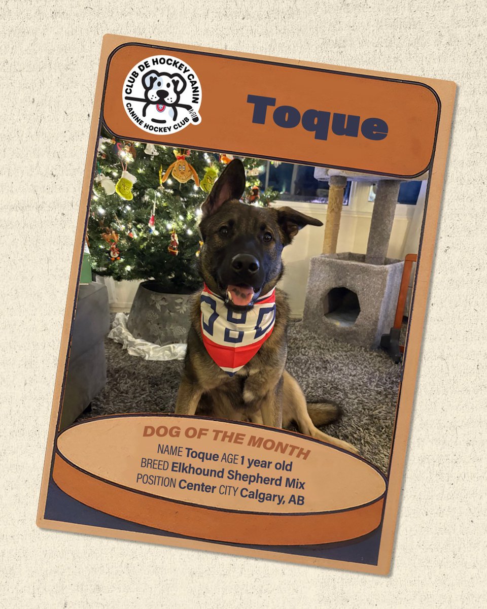 CanadiensMTL's tweet photo. Toque is our Dog of the Month for March! Enter your pup in this month's contest for a chance to win a puck signed by Lane Hutson! 🐾

Registration ↓ #GoHabsGo