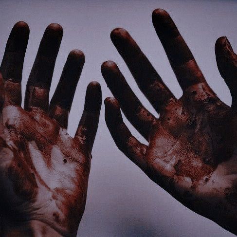 ☆ Корен / Koren tweet media