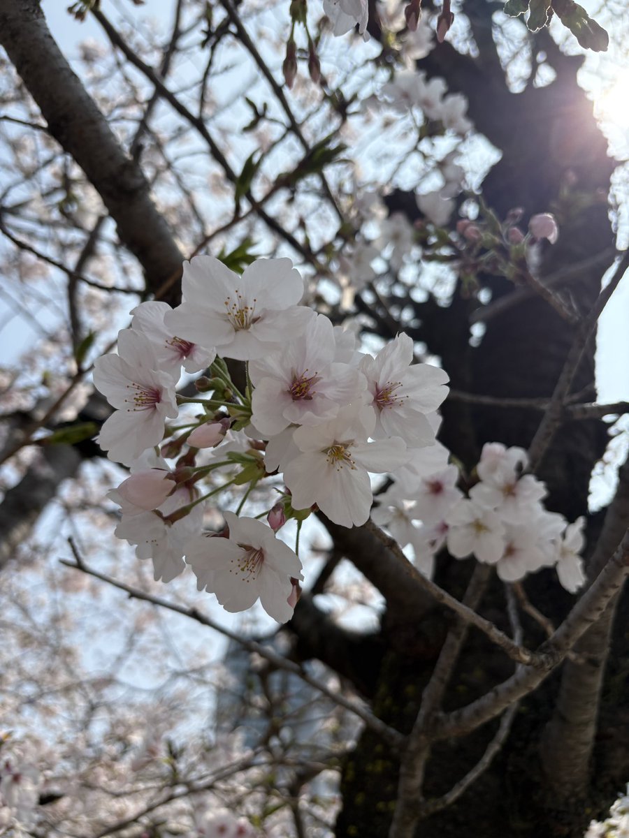 4c_x01's tweet photo. 23歳になりました🐰 ͛.*

変わらず自由に生きていきています✌︎ https://t.co/DrJn2nkHg5