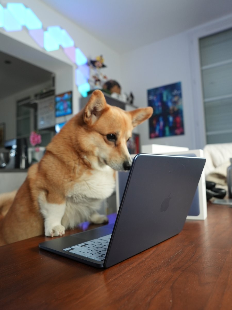 Léo - TechMaker tweet media