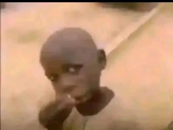 Zenith Guy tweet media