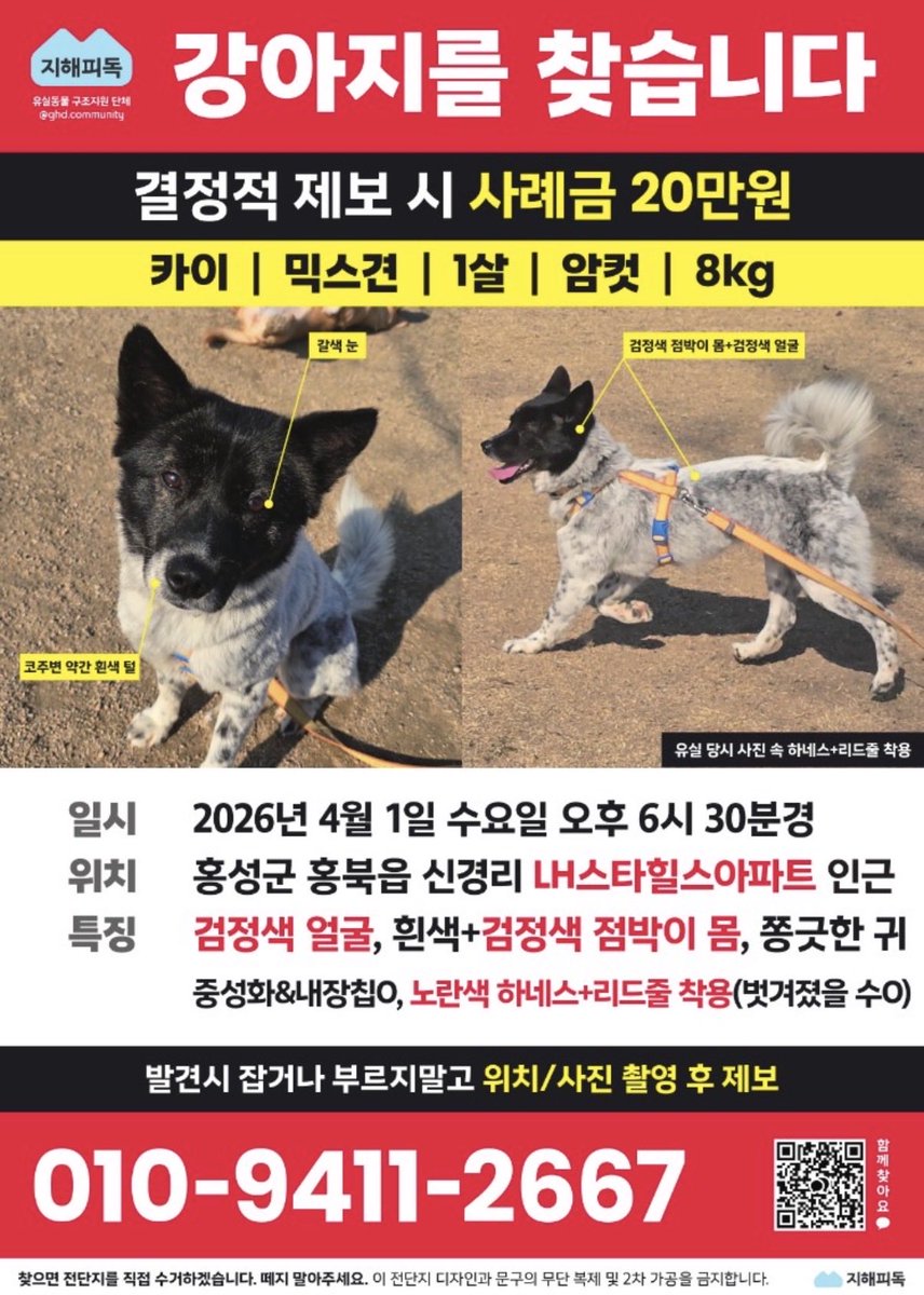 고영 솔 멈머 낙천 tweet media