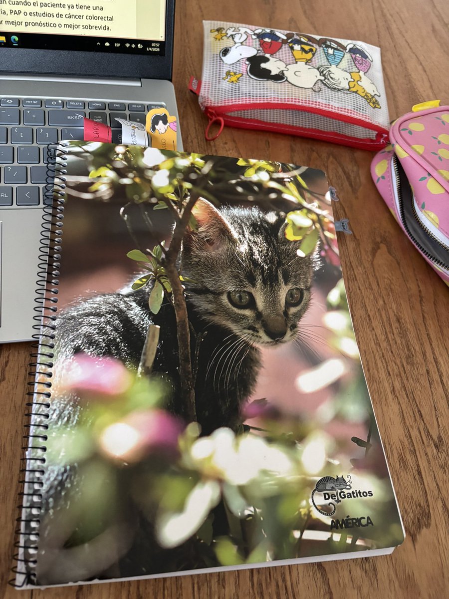 Cami 🍂 tweet media