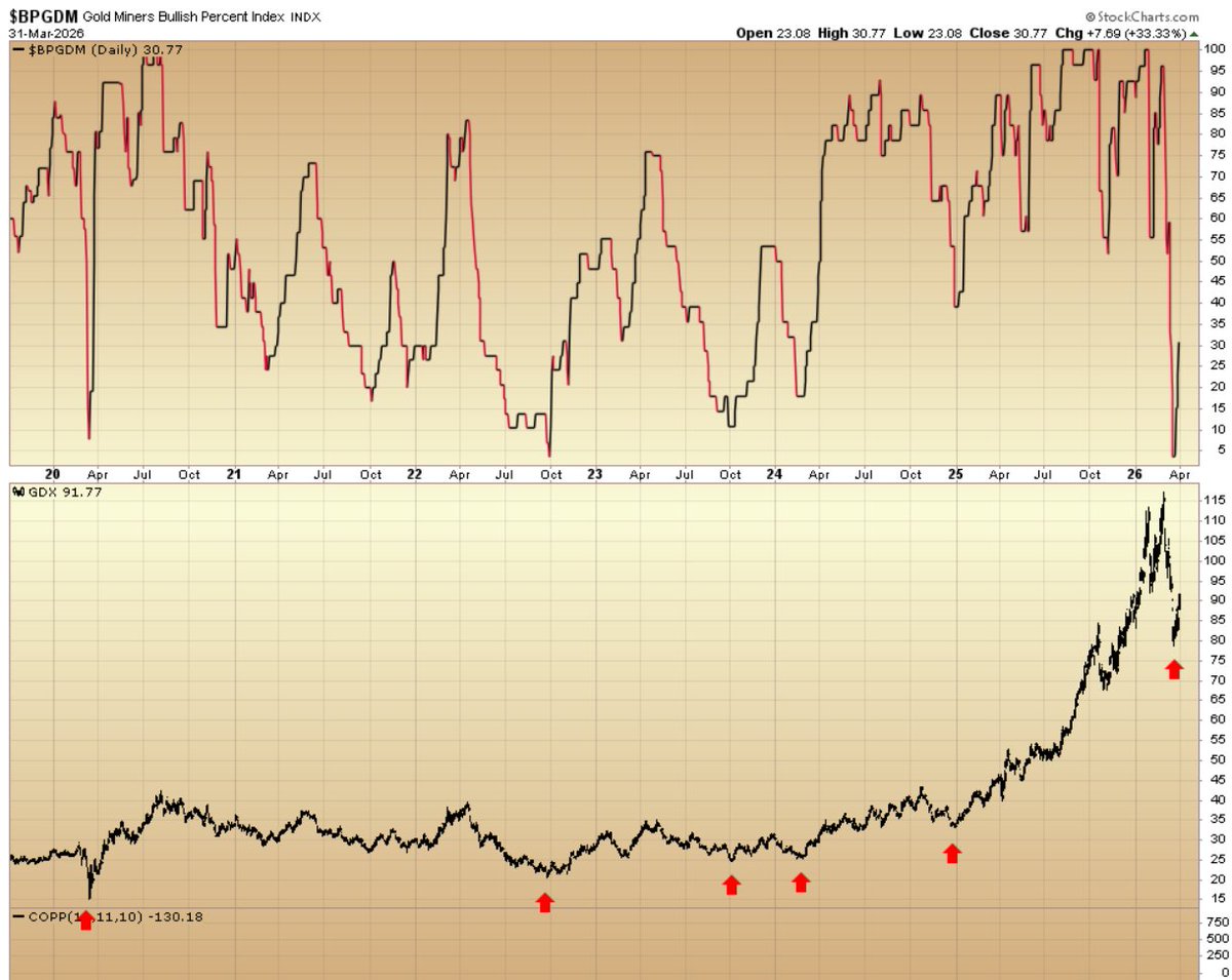 Gary Savage tweet media