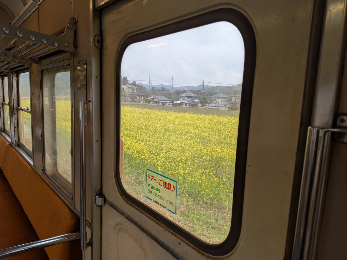 赤平秋夏（あかひら　しゅうか） tweet media