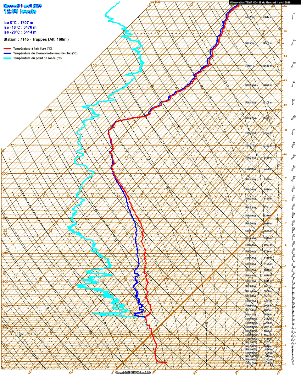 Tropo Profil tweet media