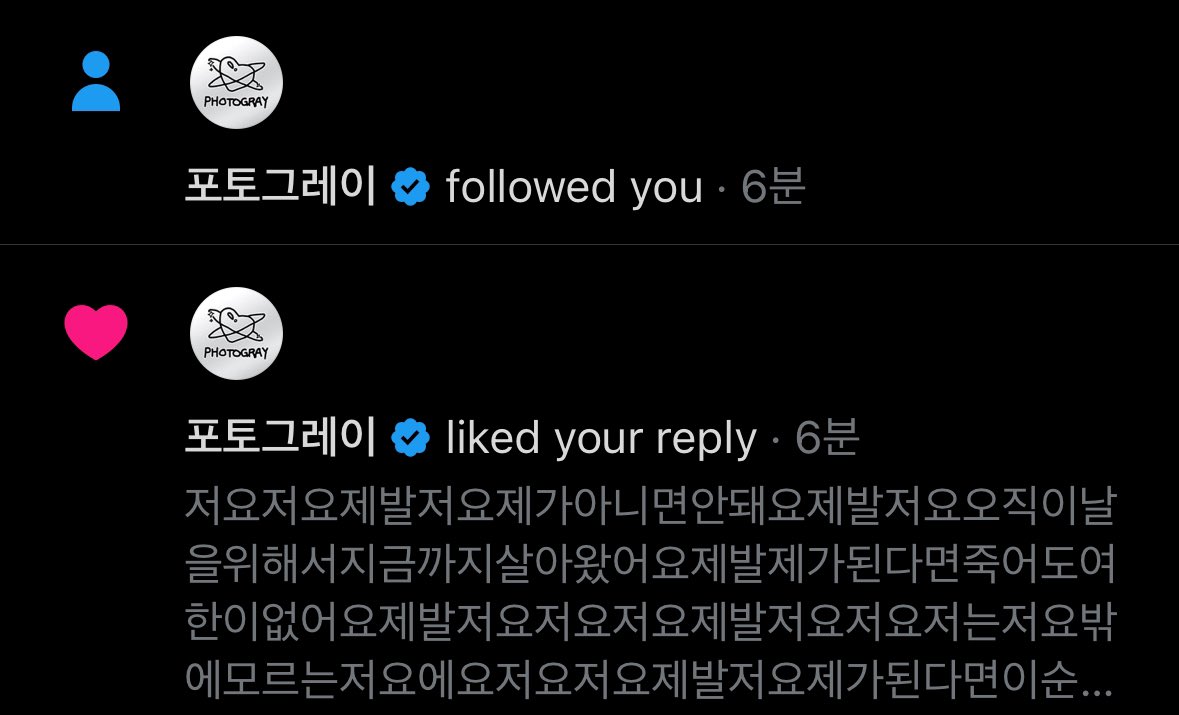 고냄이 tweet media