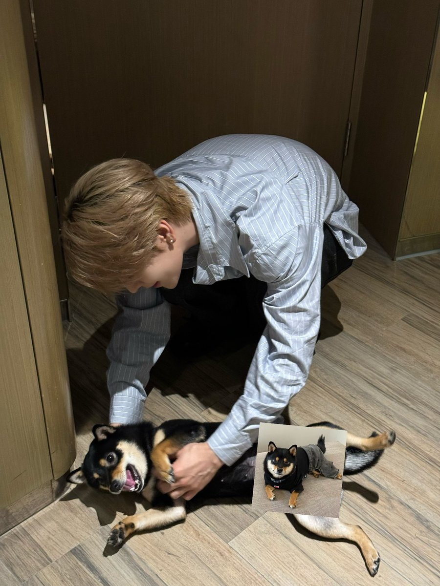 イリオくんとLv999の恋をする tweet media