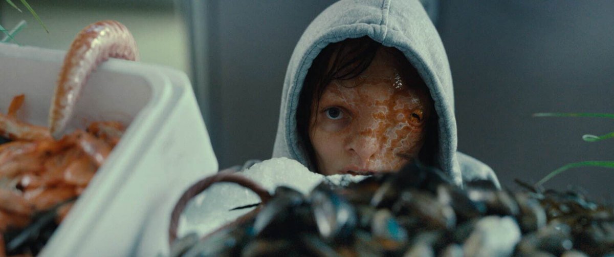 𝑾𝑵𝑻 tweet media