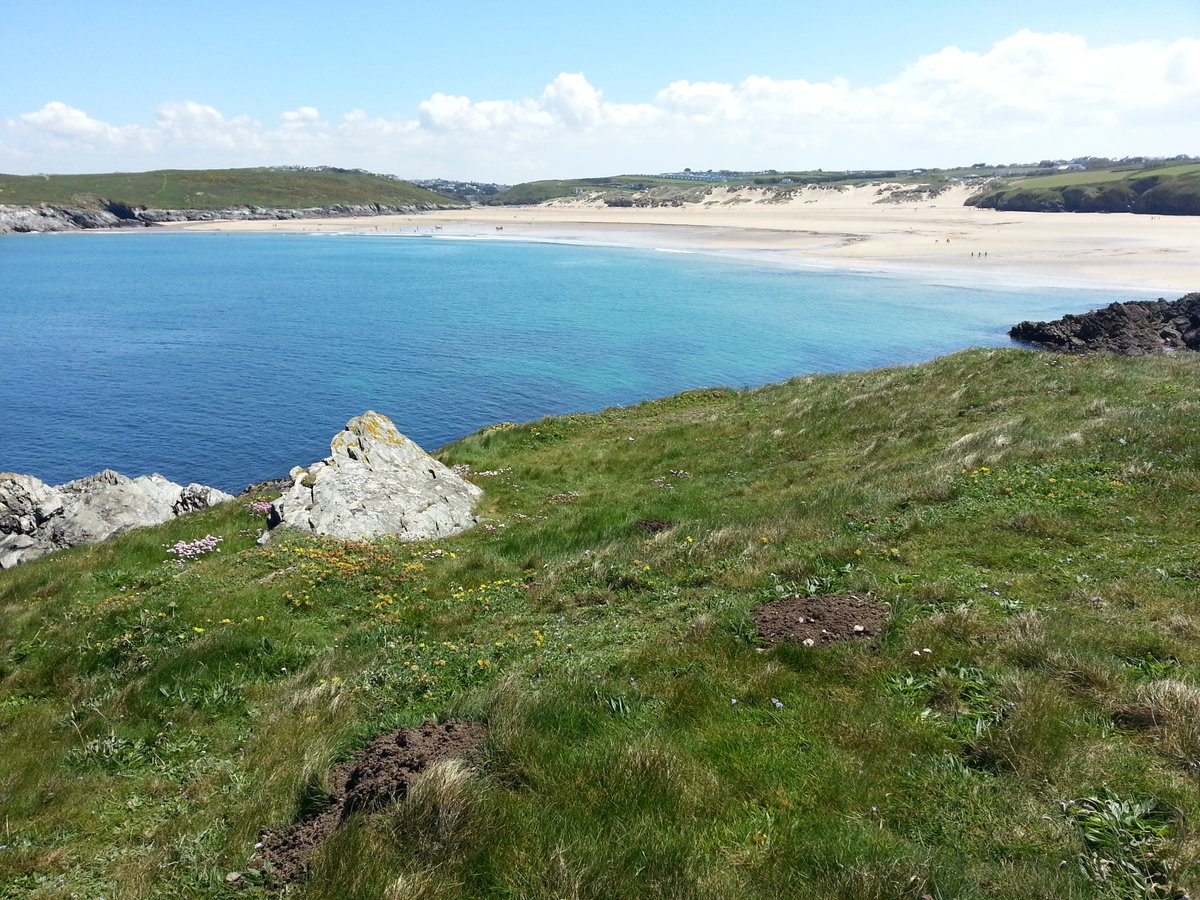 manonabeach tweet media