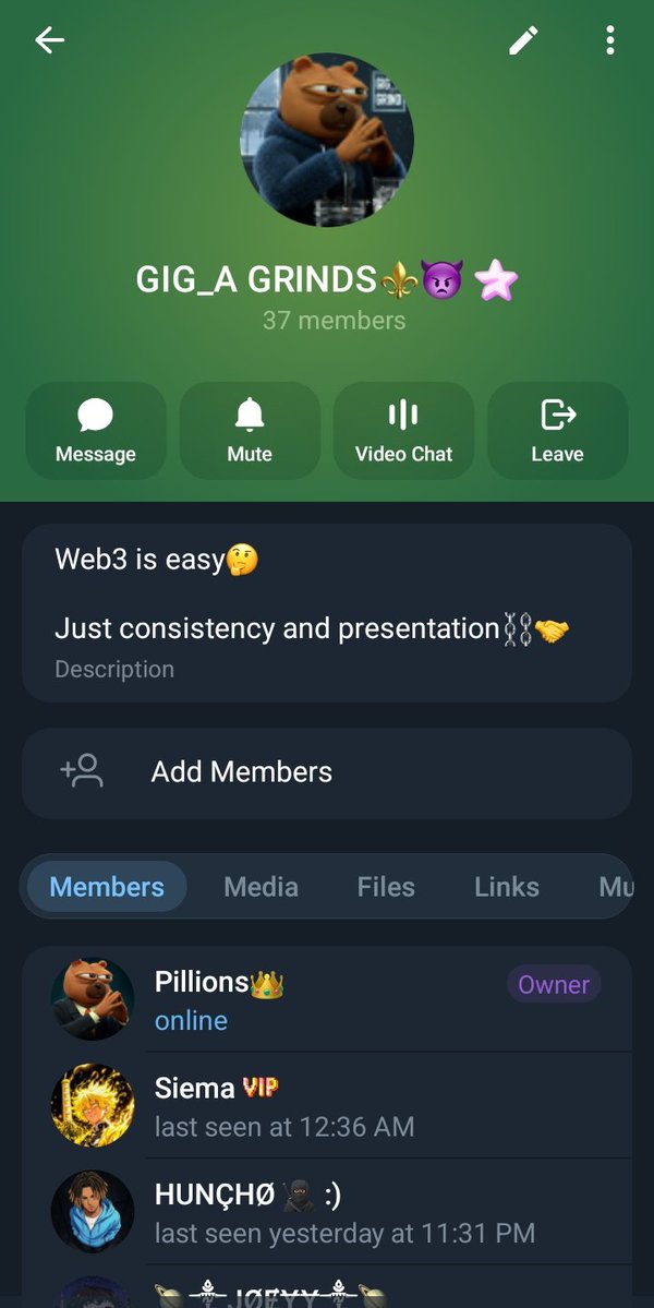 Pillions⚜️ tweet media