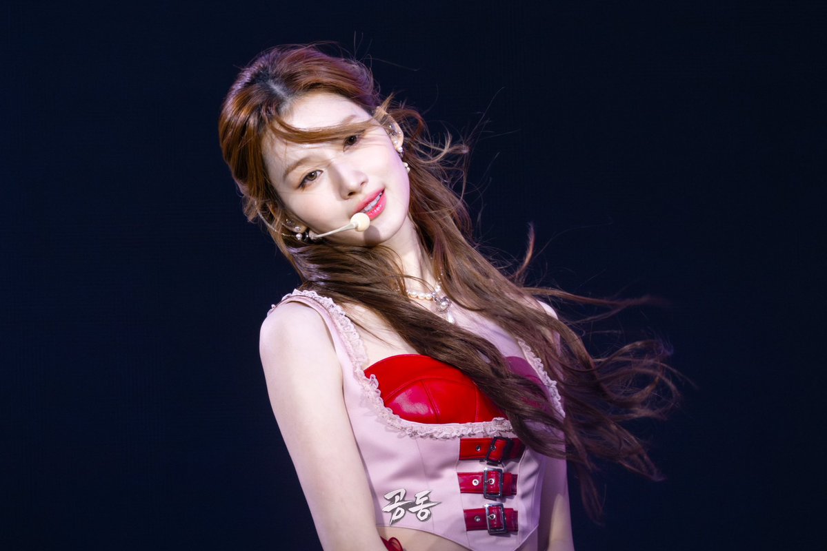 ฅ^•ﻌ•^ฅ tweet media