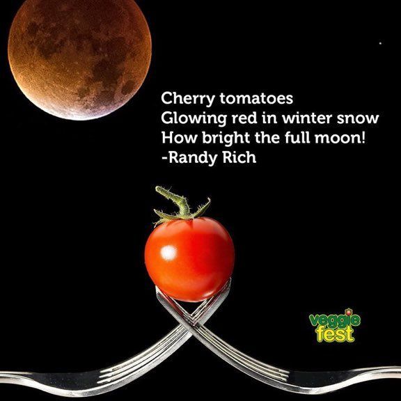 Veggie Fest Chicago tweet media