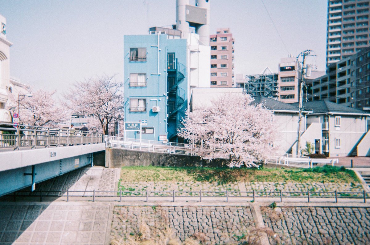 もなみん tweet media