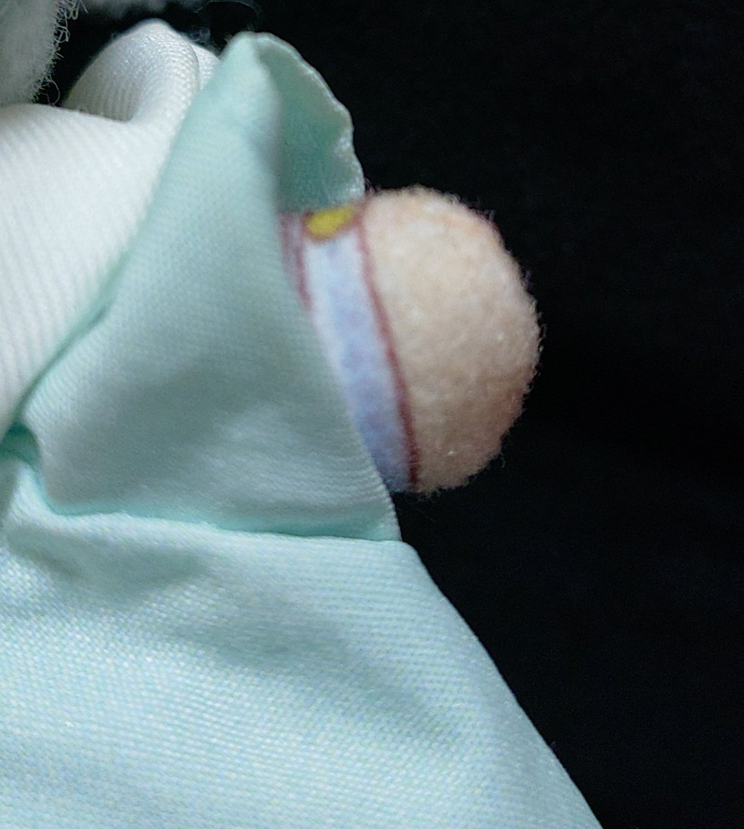 ヴォとミチュ tweet media