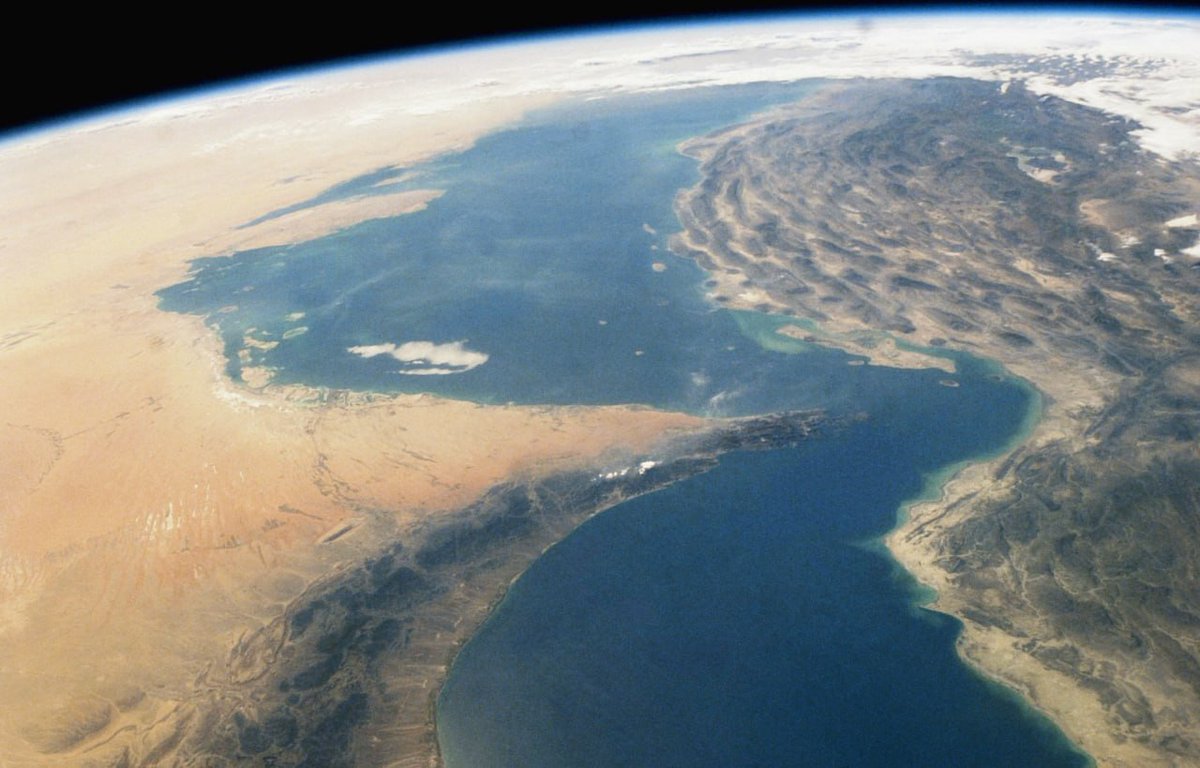 MFA Russia 🇷🇺 tweet media