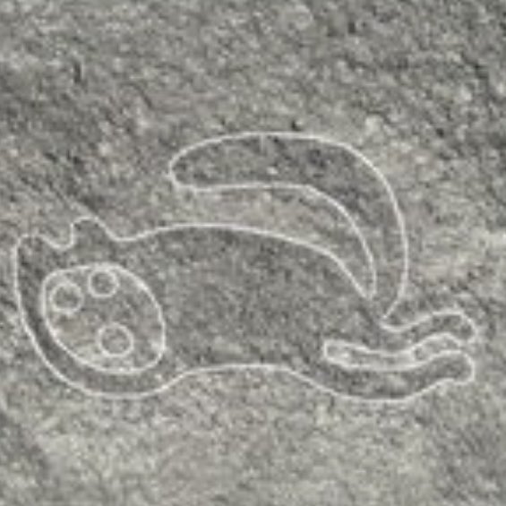 ショー☆イマダ tweet media