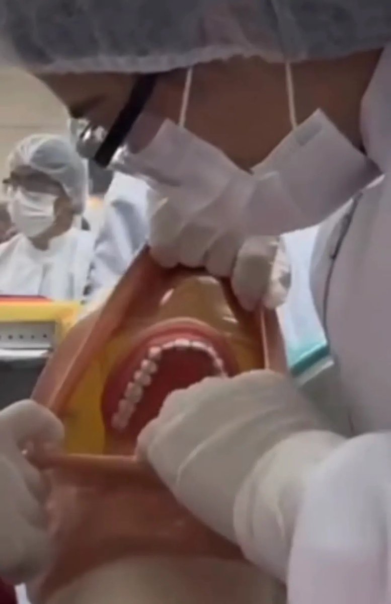 ніжний кусь tweet media