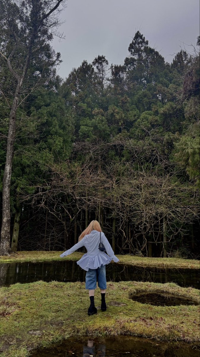 🪴🌎 tweet media