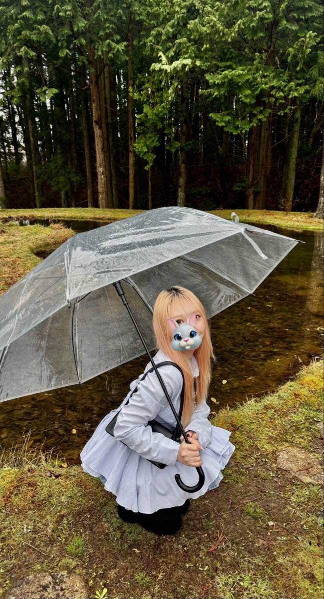 🪴🌎 tweet media