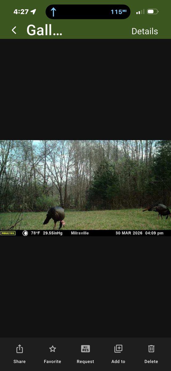 David Bess tweet media