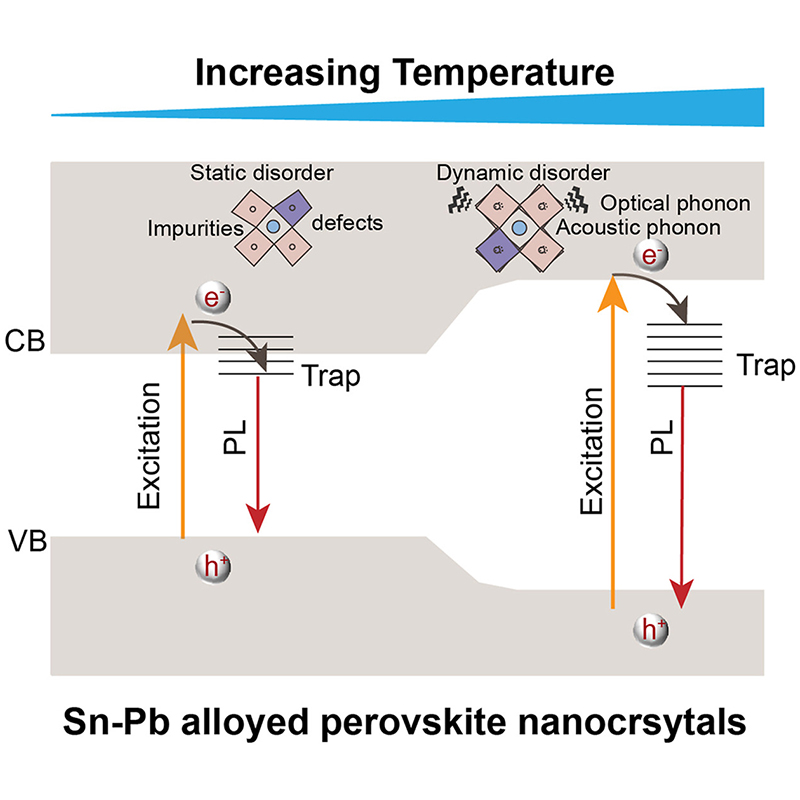 eScience Journal tweet media