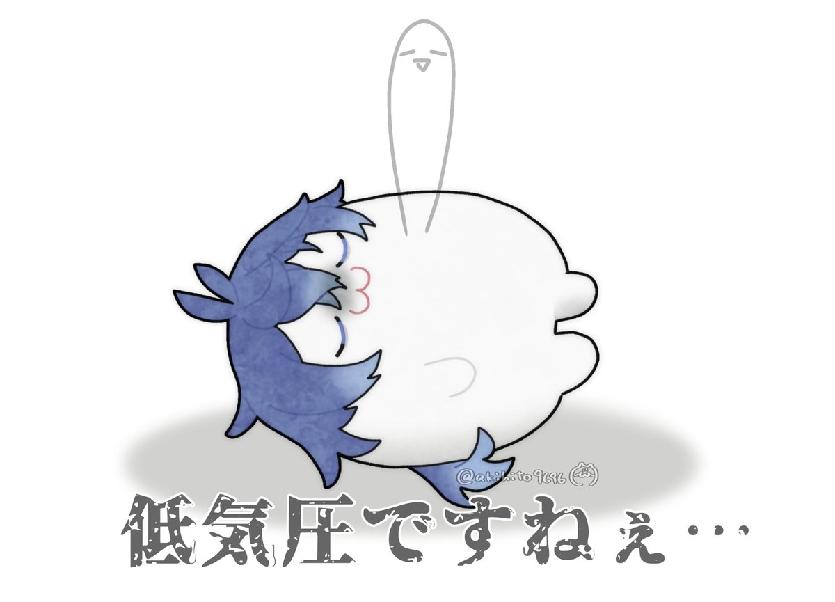 国見🍵 tweet media