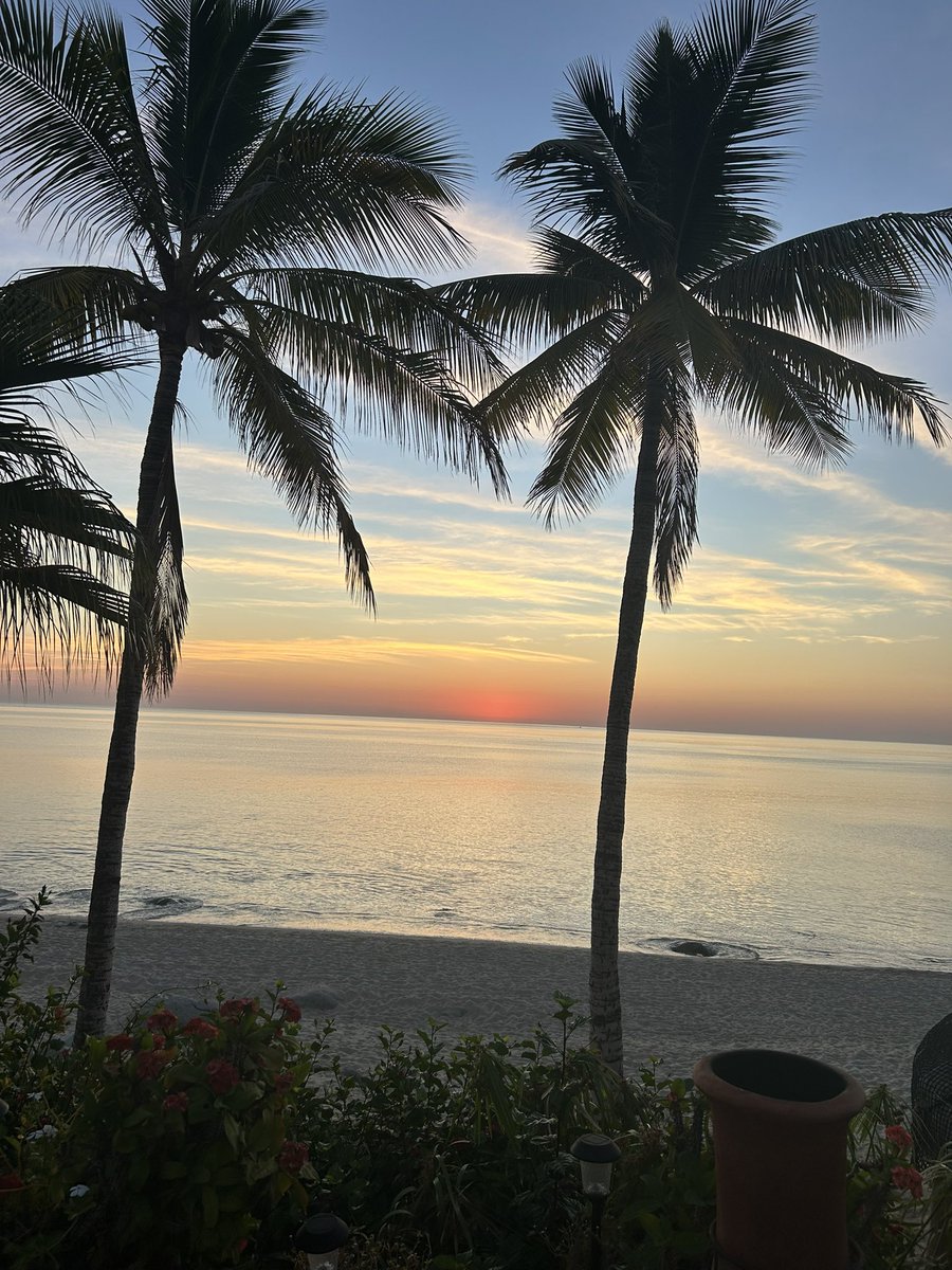 The Boss Lady 🇺🇸🚜✌️ tweet media