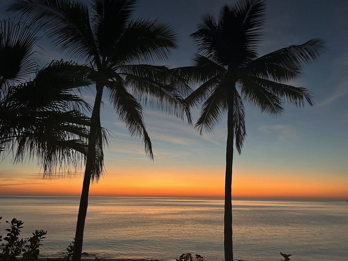 The Boss Lady 🇺🇸🚜✌️ tweet media