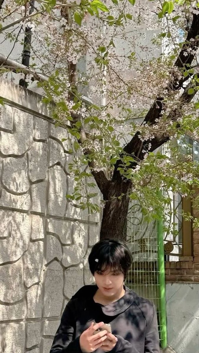 Pov nohyuck.
— cherry blossom, first date.