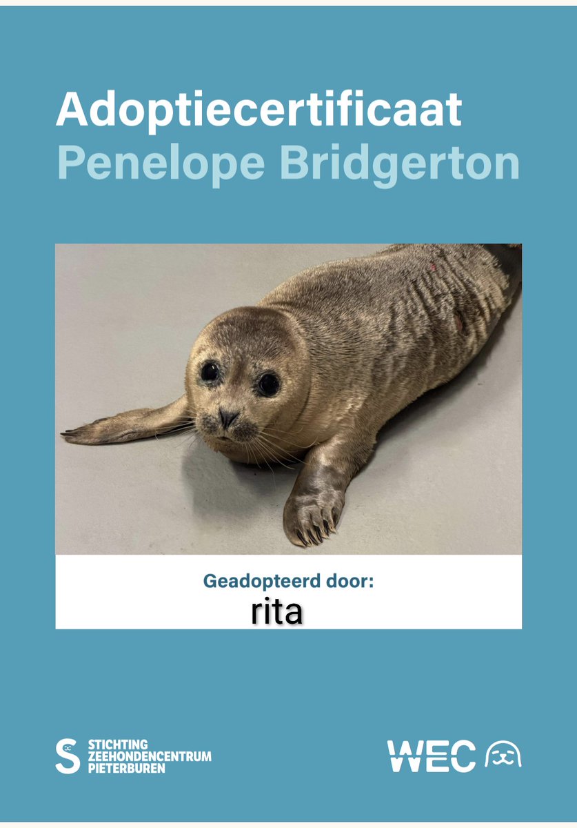 rita_thi tweet media