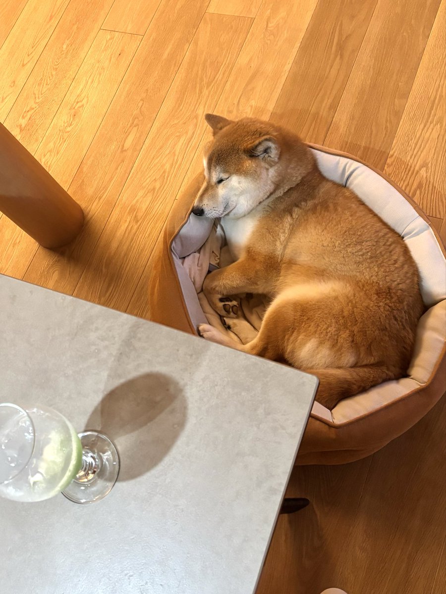 会長さん tweet media