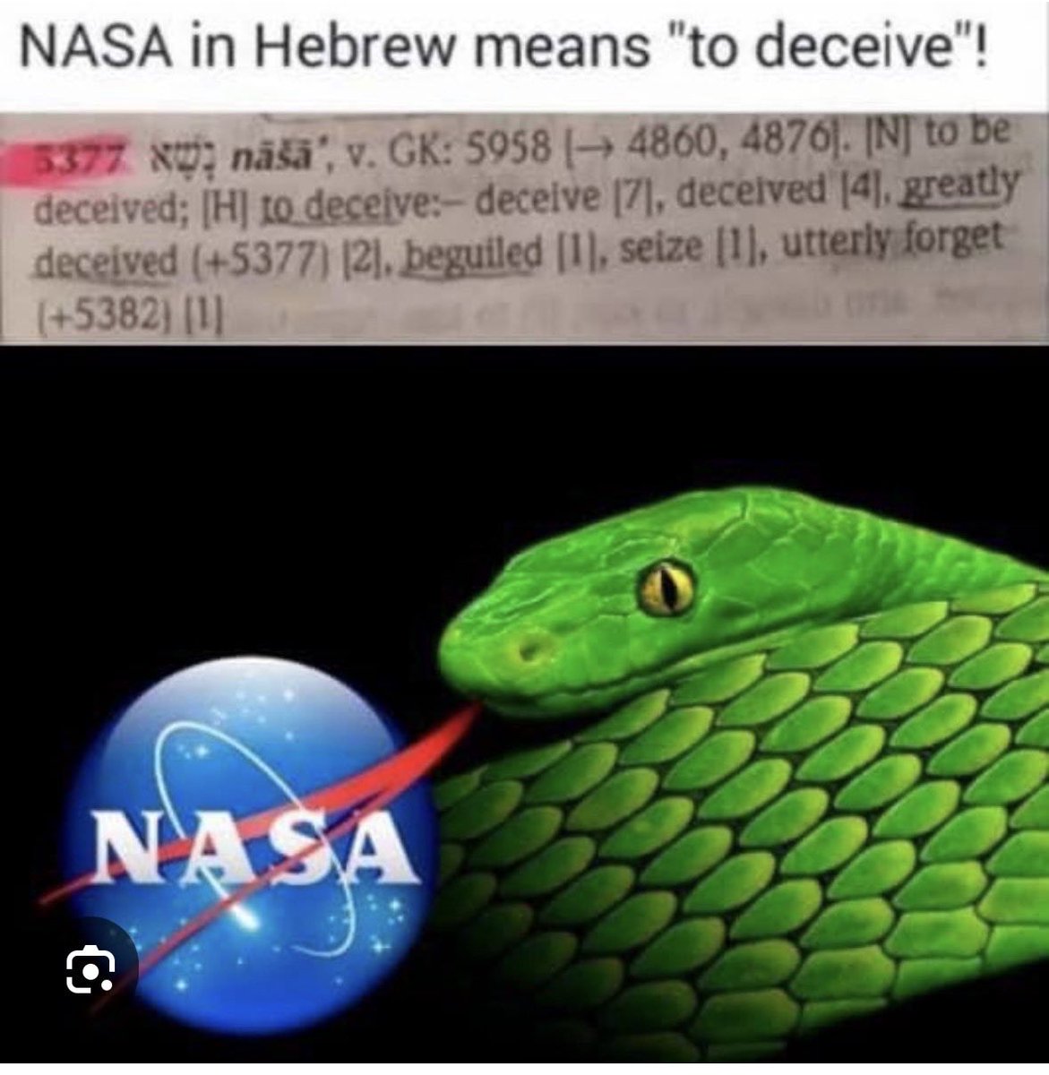 Patriot123 tweet media