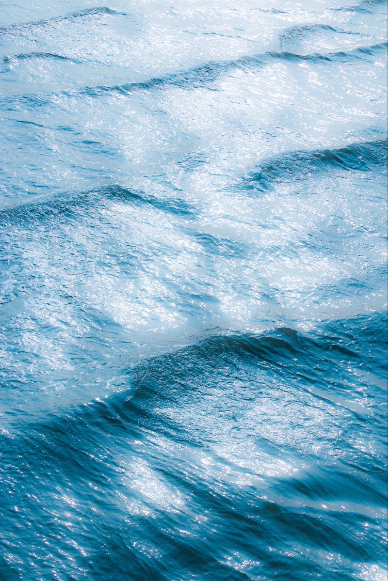 선배 キッちゃん tweet media